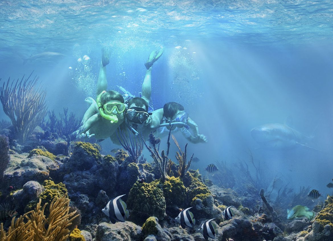 Maldives Underwater Composite