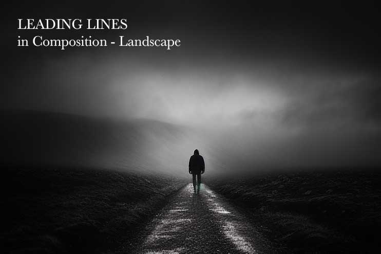 photographers blog- leading lines in landscapes - silvergumtype Blog