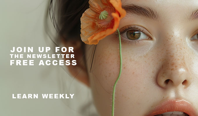 photographers newsletter for free - learn photography