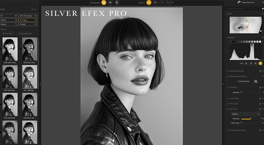 silver efex black and white editing for photographers