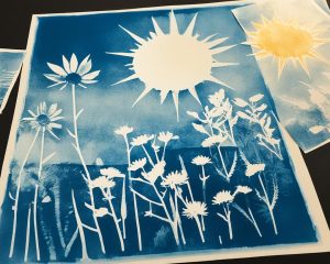 cyanotypes analog processing and film photography