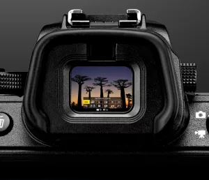 Optical vs Digital Viewfinders. How Photographers Really See the Frame
