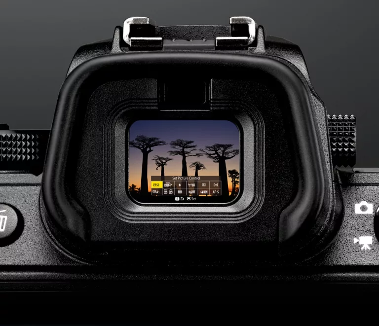 Optical vs Digital Viewfinders. How Photographers Really See the Frame