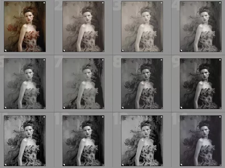 photographers presets lightroom presets